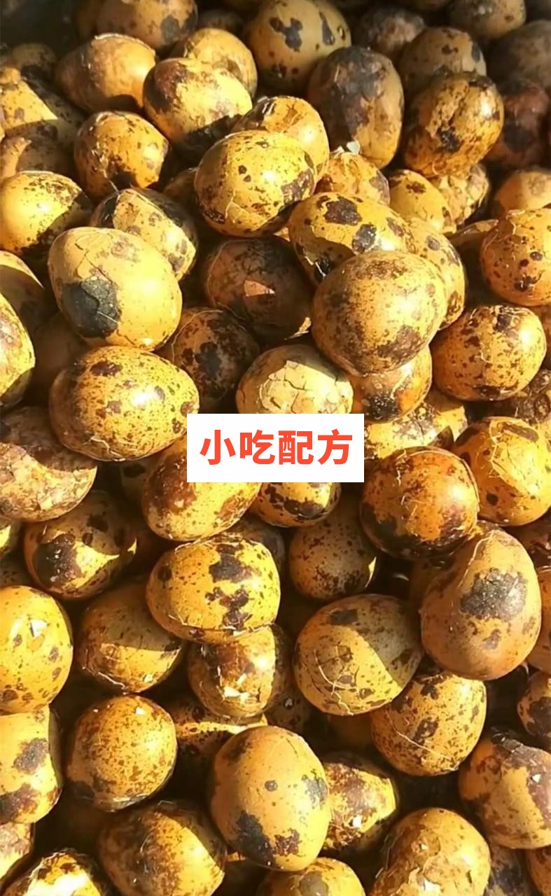 老北京熏鸟蛋技术配方视频教程 小吃技术联盟配方资料 第1张